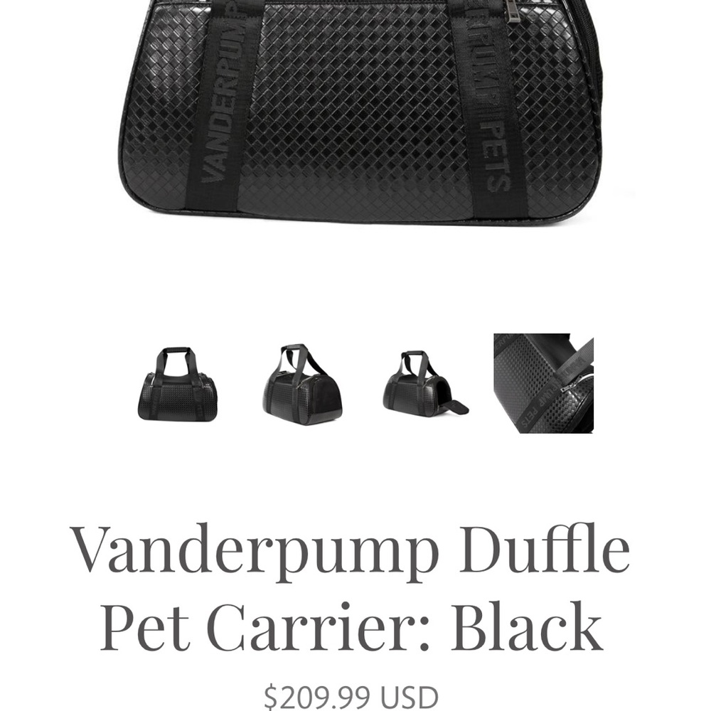 Lisa Vanderpump pets Black pet carrier